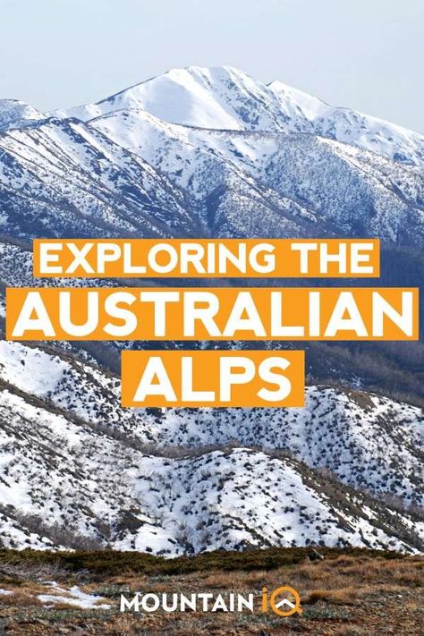 Snowy Mountains Australia, Australian Alps, Mount Kosciuszko, Egyptian Pyramids, Look At The Sky, Animal Species, Snowy Mountains, Sea Level, Mountain Range