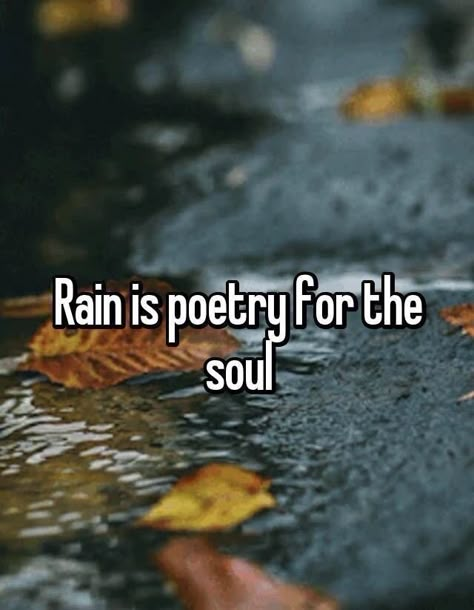 Love Rain Quotes, Rain Poetry, Rainy Day Quotes, Rain And Thunderstorms, Rainy Mood, Rain Quotes, Morning Rain, Rain And Thunder, I Love Rain