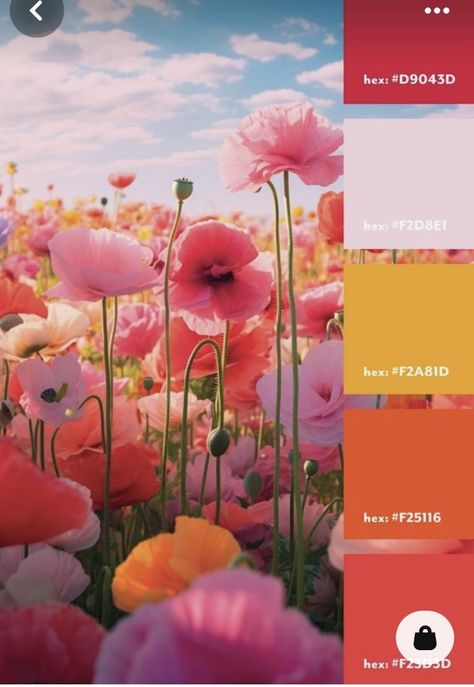 Sunset Wedding Theme, Sunset Wedding Colors, Pink Yellow Weddings, Pink Wedding Palette, Orange And Pink Wedding, Spring Wedding Color Palette, Sunset Color Palette, Orange Wedding Colors, Bright Wedding Colors