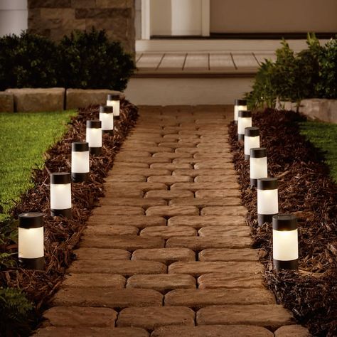 Solar Driveway Lights, Backyard Solar Lights, Path Lighting, Solar Yard Lights, Walkway Lighting, Driveway Lighting, Solar Path Lights, Outdoor Path Lighting, Outdoor Path