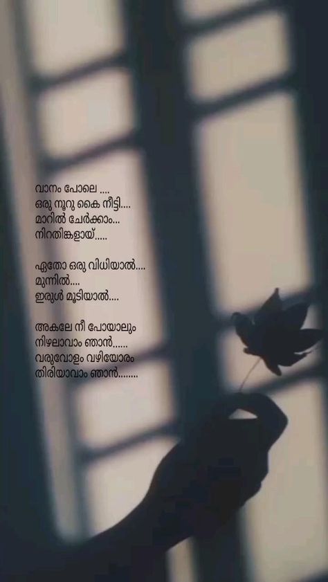 Status For Whatsapp Malayalam, Malayalam Song Lyrics, Aesthetic Memories, Music Love Quotes, Father's Day Video, New Love Songs, Best Song Lines, Feeling Song, Song Lyrics Beautiful