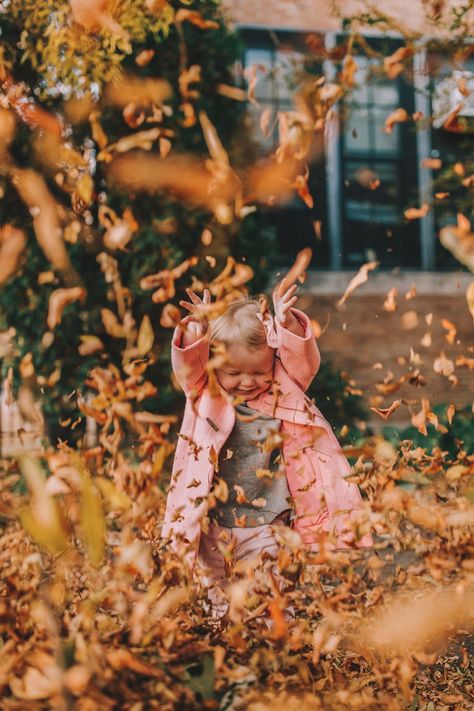 Fall Photoshoot Family, Portret Feminin, Toddler Pictures, Toddler Photoshoot, Kelly In The City, Fall Shoot, Fall Portraits, Toddler Photos, Fall Family Pictures