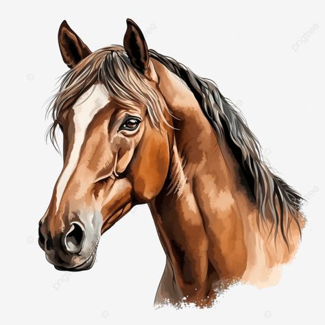 brown horse isolated illustration ai generative horse white isolated png Digital Art Horse, Horse Illustration Art, Horse Mural, Rodeo Art, Horse Images, Abstract Horse Art, Cartoon Horse, Buckskin Horse, Horse Png