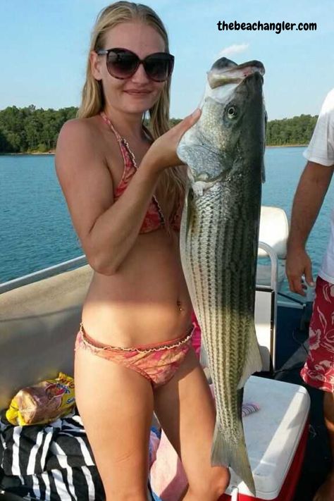 Bikini clad lady angler holding up a large striper Striper Fishing, Summer Fishing, Striped Bass, Surf Fishing, The Outer Banks, Fishing Adventure, Catching Fish, Fishing Women, Fishing Girls