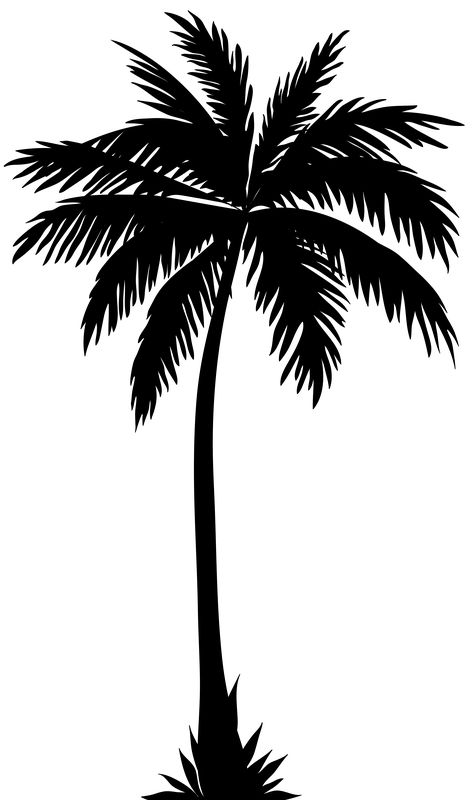 Palmera Tree Vector Png, Palm Tree Clip Art, Tree Tattoo Back, Palm Tree Drawing, Palm Tree Vector, Palm Tattoos, Palm Tree Silhouette, Palm Tree Art, Palm Tree Tattoo