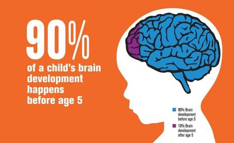 Brain Development in Children – 12 Sensitive Periods You Must Not Miss Early Childhood Development Activities, Brain Development Children, Early Childhood Education Quotes, Early Education Classroom, Brain Based Learning, Computer Lessons, Sounding Out Words, Early Childhood Development, Development Quotes