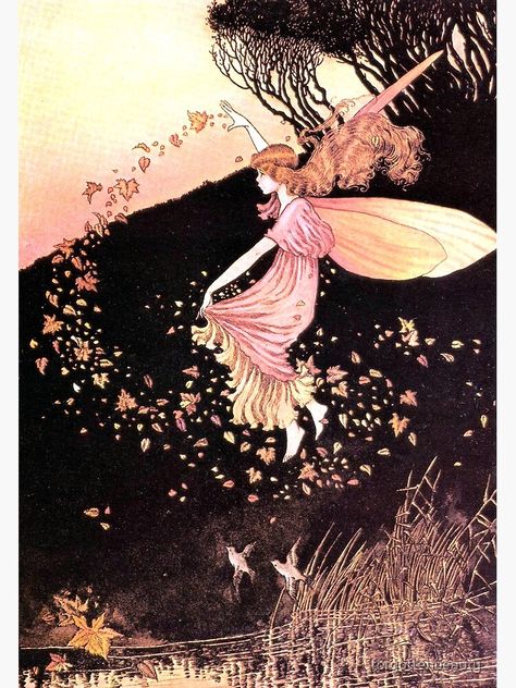 Ida Rentoul Outhwaite, Witches Dance, Fairy Drawings, Autumn Fairy, Elves And Fairies, Forest Creatures, Cute Fairy, Magical Art, Fantasy Paintings