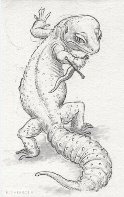 Drawing Of Lizard, Salamander Sketch, Lizards Drawing, Gecko Sketch, Reptile Sketch, Reptile Tattoo Ideas, Salamander Drawing, Lizard Sketch, Reptile Drawings