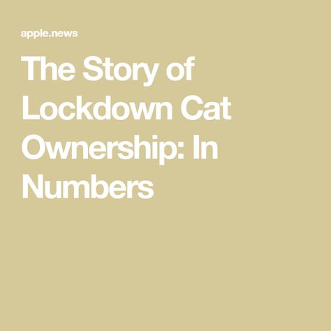 The Story of Lockdown Cat Ownership: In Numbers Cats And Rabbits, Cat Ownership, Dog Insurance, Pet Insurance, Dogs Cats, Rabbits, For Dogs, Insurance, The Story