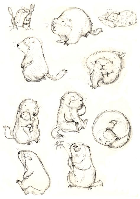 Marmot Sketches Animals At The Beach Illustration, Beaver Drawing Sketch, Groundhog Cartoon Drawing, Cute Groundhog Drawing, Marmot Tattoo, Beaver Character Design, Beaver Drawing Cute, Marmot Drawing, Cartoon Animal Sketches