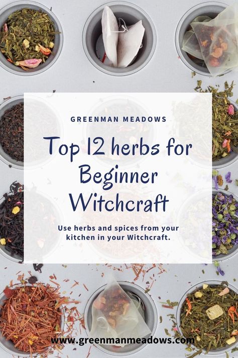 Witchcraft Herbs And Spices, Witch Herbs And Spices, Herb Potions Witchcraft, Herbs And Their Meanings Witchcraft, Spices For Witchcraft, Beginner Witch Herbs, Spiritual Herbs Witches, Herbs To Use In Witchcraft, Essential Herbs For Witchcraft