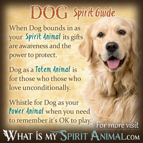 Dog Symbolism & Meaning | Spirit, Totem, & Power Animal - Pinned by The Mystic's Emporium on Etsy Dog Symbolism, What Is My Spirit Animal, Dog Spirit, Animal Totem Spirit Guides, Spirit Animal Quiz, Symbolism Meaning, Spirit Animal Meaning, Animal Meanings, Spirit Animal Totem