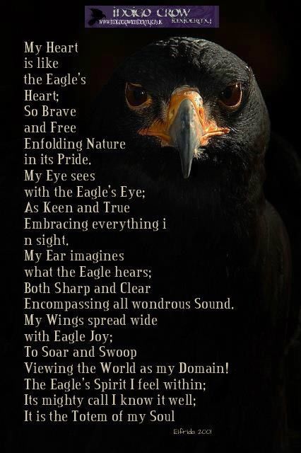 Crow as an animal totem Crow Symbolism Meaning, Crow Symbolism, Crow Represents, Spirit Animal Crow, Crow Spirit Animal, Animal Totem Spirit Guides, Animal Spirit Guide, Animal Meanings, Spirit Animal Totem