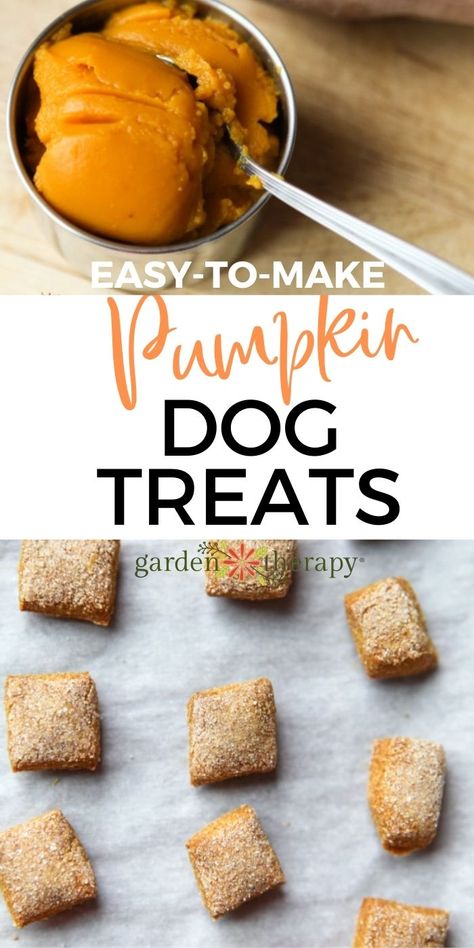 Pumpkin Oat Flour Dog Treats, Dog Treats Made With Pumpkin Puree, Pumpkin Dog Treats From Real Pumpkin, Banana Pumpkin Dog Treats Homemade, Pumpkin Treats Dogs, Pumpkin Sweet Potato Dog Treats, Dog Cookies Recipe Easy Pumpkin, Tumeric Dog Treats Recipes, Home Made Pumpkin Dog Treats