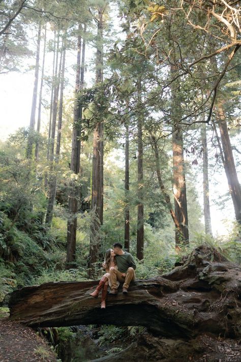 Forest Engagement Shoot Ideas | Adventure Couple Photography | California Photographer | These redwood engagement photos in Mendocino were so romantic and full of outdoor engagement photos ideas! Discover more outdoor engagement photo poses, outdoor engagement photos outfits, outdoor engagement photos outfits fall ideas, and outdoor engagement pictures! Book Bry for your redwood engagement shoot or redwood wedding photography at brysphotography.com! Engagement Photos In Forest, Engagement Photos Woodsy, Woodland Engagement Photos, Sequoia Engagement Photos, Wedding Forest Photography, Viking Handfasting, Woodland Engagement Shoot, Redwoods Engagement Photos, Forest Couple Photoshoot