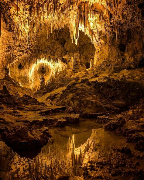 Amazing cave formations Irish Photography, Carlsbad Caverns National Park, Carlsbad Caverns, National Parks Photography, Nature Landscape, Special Places, Natural Wonders, Great Artists, Monument Valley