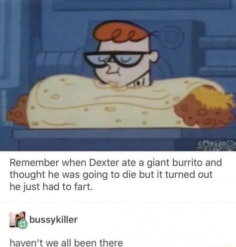 Dexters Laboratory, Witty Memes, Dexter Laboratory, Right In The Childhood, Geek Life, Dexter, Funny People, Bones Funny, Best Memes