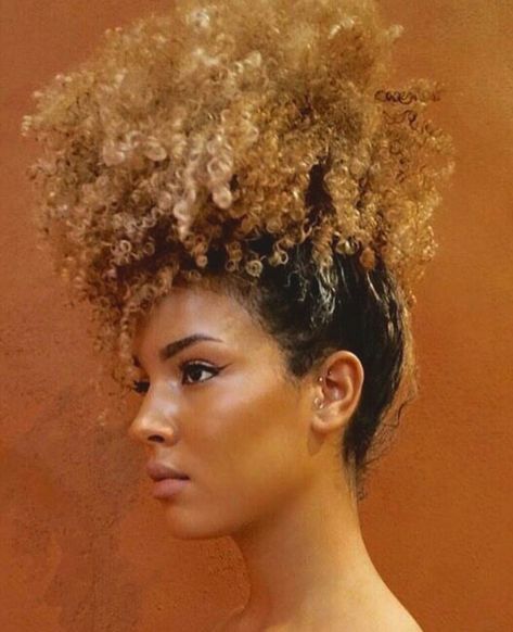 Pineapple Hairstyle Natural Hair Updo, Natural Curly Updo Black Women, Pineapple Ponytail Curly Hair, Curly Pineapple Hairstyles, Pineapple Puff Natural Hair, Pinapple Hairstyle Updo, Pineapple Bun Curly Hair, Curly Pineapple Updo, Curly Hair With Scarf