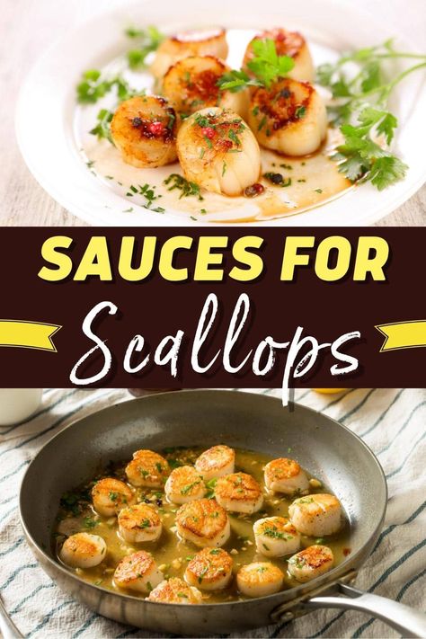 For a meal you won't forget, try these irresistible sauces for scallops! From garlic butter to lemon caper to sweet sesame, each sauce is the perfect complement to scallops. Scallops Sauce Recipe, Sauce For Scallops, Best Scallop Recipe, Shrimp Sauce Recipes, Scallop Recipes Pasta, Easy Scallop Recipes, Asparagus Sauce, Best Sauces, Butter Sauce For Pasta