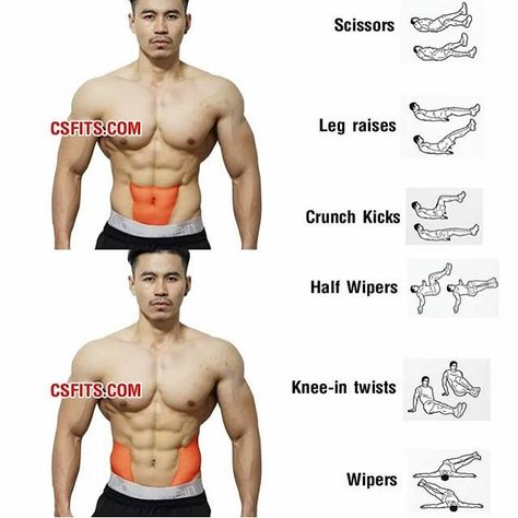 925 vind-ik-leuks, 33 reacties - Gain Tips® (@gaintips) op Instagram: 'These exercises are for your abs! 💪🏻 ⛔️Like and save this picture,More gym tips?Follow me❤️🏋🏻 - - -…' Ripped Abs Workout, Trening Sztuk Walki, Ripped Abs, Gym Tips, Trening Fitness, Abs Workout Routines, Abdominal Exercises, Lower Abs, Workout Chart