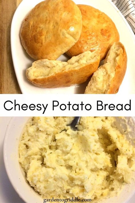 Image split in half with top image of 2 full loaves and 1 split open on white oval plate and bottom image of cheesy mashed potato filling in white bowl with silver spoon in bowl. Title in black letters with white background between 2 images. Cheesy Potato Pillows, Cheesy Potato Bread, Yummy Bread, Work Food, Honey Milk, Potato Cheese, Baking Buns, Herb Bread, Manchego Cheese