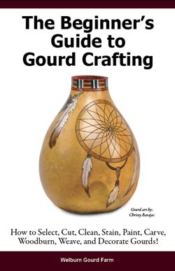 Gourd Art For Beginners, Decorating Gourds, Gourds Diy, Gourd Carving, Gourd Ideas, Gorgeous Gourds, Gourd Crafts, Tracing Lines, Carbon Paper