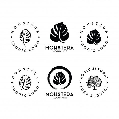 Set of monstera leaf logo Premium Vector | Premium Vector #Freepik #vector #logo #floral #tree #leaf Monstera Logo Design, Leaf Logo Design Ideas, Vineyard Logo, Moss Logo, Logo Design Event, Logo Garden, Plant Logo, Restaurant Icon, Organic Logo Design