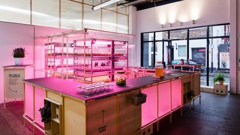 LOKAL by Space10 Growing Food Indoors, Indoor Farming, Hydroponic Farming, Pop Up Restaurant, Innovation Lab, London Design Festival, Big Design, Hydroponics System, Hydroponic Gardening