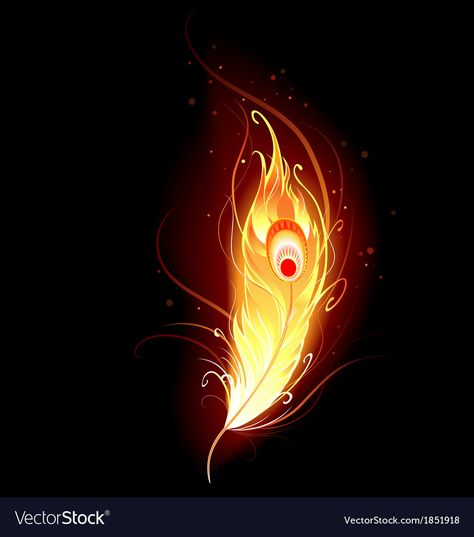 Phoenix Background, Phoenix Feather Tattoos, Rakan League Of Legends, Image Zen, Phoenix Wallpaper, Phoenix Artwork, Phoenix Images, Phoenix Feather, Feather Vector