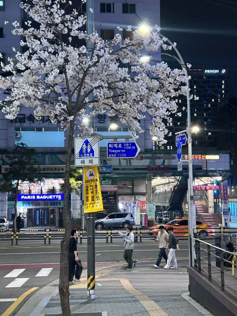 Living In Korea Aesthetic, Korean Street Aesthetic, Korea Neighborhood, Korean Vision Board, South Korea At Night, Korea At Night, Shanghai Aesthetic, South Korea Aesthetic, Korean Vibe