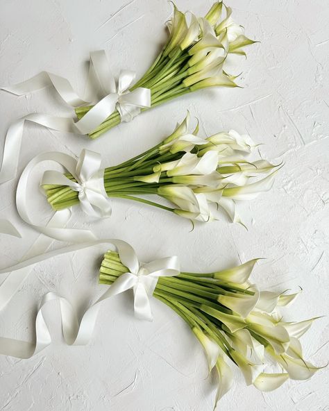 Simple, modern, white, trailing ribbons. Nothing better 👌🏼 Modern Bridal Bouquet Simple, Mini Bridesmaid Bouquet, Minimalist Bouquet Wedding, Tuscan Inspired Wedding Decor, September Florals, Minimal Wedding Flowers, Minimal Wedding Bouquet, Simple White Bouquet, Flower Aesthetic White