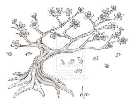 Cherry Blossom Tree by Moselys on deviantART Chinese Blossom, Cherry Blossom Tree Tattoo, Cherry Blossom Drawing, Blossom Tree Tattoo, Pencil Tree, Tree Doodle, Japan Cherry Blossom, Tree Drawings Pencil, Tree Wall Murals