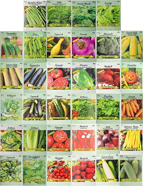 Permaculture, Inflatable Palm Tree, Vegetable Seeds Packets, Bistro Patio Set, Black Duck, Heirloom Vegetables, Vegetable Seeds, Geranium Essential Oil, Herb Seeds