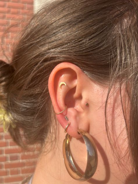 earrings conch helix tragus lobes triple solid gold Maria Tash Conch Piercing, Conch And Tragus Piercing, Triple Conch Piercing, Double Conch, Triple Lobe Piercing, Earrings Conch, Ear Curation, Helix Piercing Jewelry, Piercing Inspo