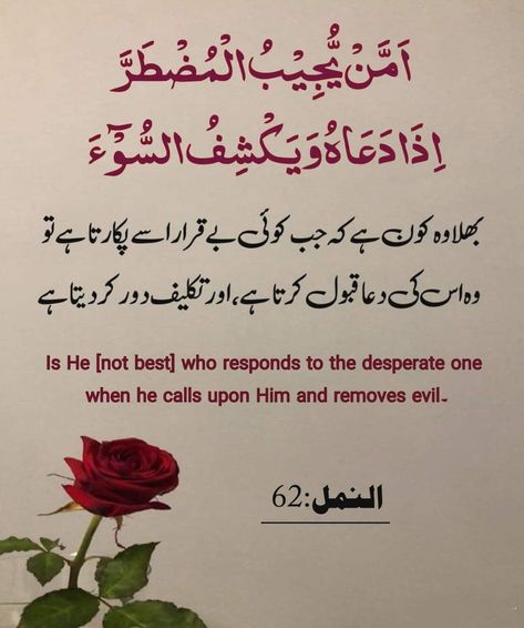 Quranic Ayat, Hadees In Urdu, Islamic Quotes Friendship, Calligraphy Quran, Islamic Knowledge In Urdu, Quran Ayat, Islam Lesson, Inspirational Quotes In Urdu, Quran Pak