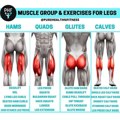 Build your own leg day! #legworkout #legday