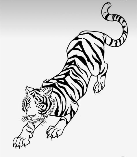 Calm Tiger Tattoo, Patchwork Tiger Tattoo, Ornamental Tiger Tattoo, Tiger Tattoo Design For Women, Tiger Outline Tattoo, Tiger Tattoo Stencil, Fine Line Tiger Tattoo, Tiger Tattoo For Women, Puma Tattoo