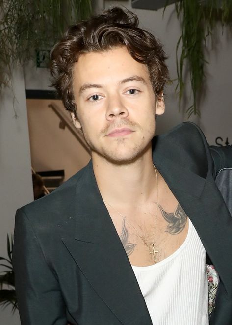 Harry Styles Short Hair, Harry Styles Haircut, Harry Styles Hair, Harry Styles Long Hair, Harry Styles Photoshoot, Hair Evolution, Harry Styles Aesthetic, Haikou, Hair Guide