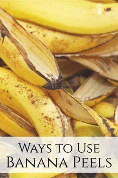 Banana Peel Uses Banana Fertilizer, Planting Veggies, Propagate Lavender, Banana Peel Uses, Banana Peels, Preserving Herbs, Banana Benefits, Plant Benefits, Fruit Peel