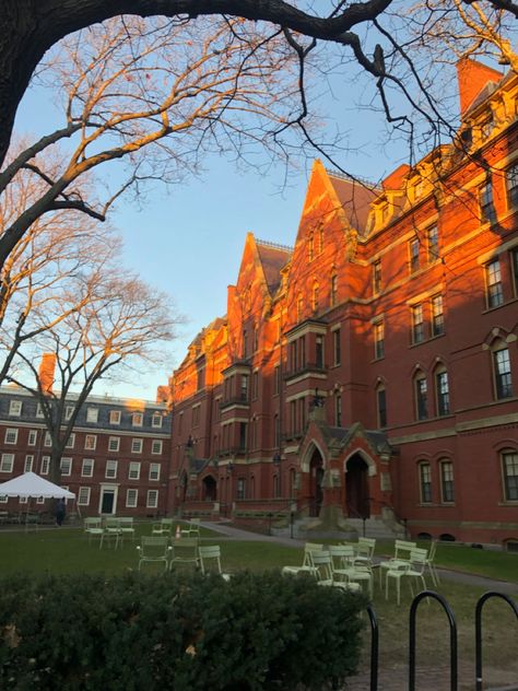 Harvard In The Fall, Harvard Fall Aesthetic, Harvard University Vision Board, Harvard Law School Campus, Harvard Mba Aesthetic, Harvard Med School Aesthetic, Ivy League Student Aesthetic, Harvard Summer School, Harvard Dorm Room Aesthetic