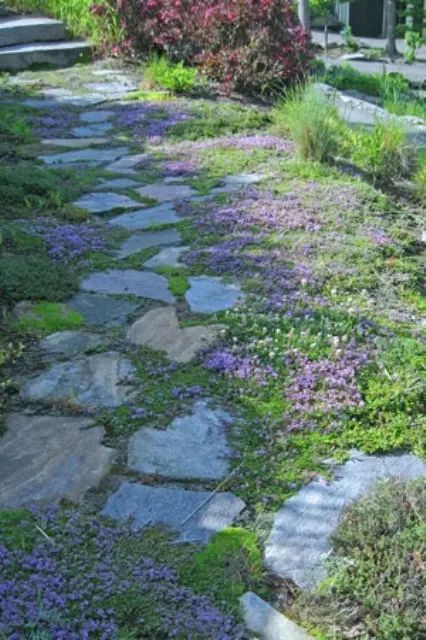 Flagstone Garden, Diy Flagstone, Patio Flagstone, Patios Ideas, Garden Patios, Patio Sets, Path Ideas, Flowers Growing, Flagstone Patio