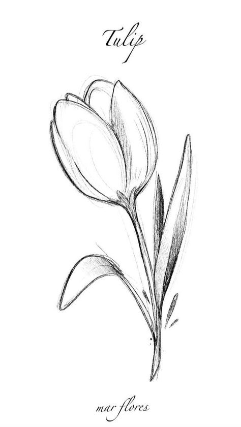 Art Ink Drawing, Sketch Flowers Step By Step, Cute Very Simple Drawings, One Flower Drawing, Flowers In Vase Drawing Simple, Flower Aesthetic Drawing Simple, Drawings Ideas Flowers, Flower For Drawing, Sketch Ideas Tattoo