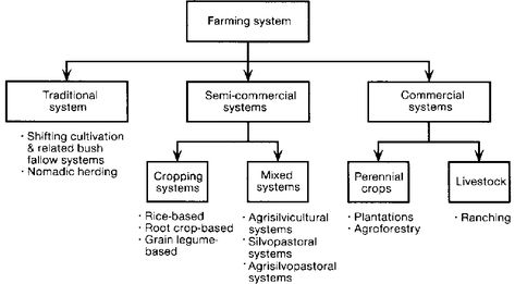 The 8 Major Types of Farming Systems in India – Civilsdaily India, Terrace, Perennials, Types Of Farming, Farming System, General Knowledge, The 8, Finance, Gif