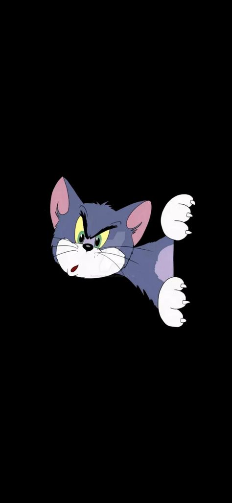 Pink Panther Cartoon, Tom And Jerry Pictures, Tom And Jerry Wallpapers, Tom And Jerry Cartoon, Whatsapp Wallpaper Cute, Tom Y Jerry, Print Design Art, Cartoon Wallpaper Hd, 8k Wallpaper