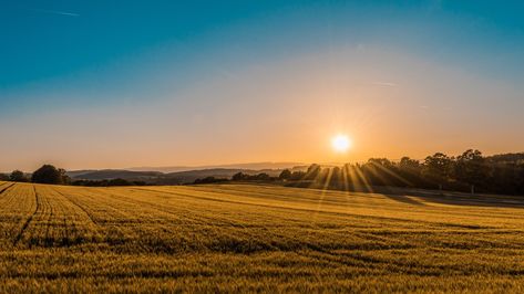 Farm Life in the Philippines – What is It Like? (Part 2) https://momtraneur.com/2018/05/16/farm-life-in-the-philippines-what-is-it-like-part-2/ Farm Pictures, Sunrise Pictures, Photos Hd, How To Buy Land, Pranayama, Muhammad Ali, Cool Countries, Download Free Images, Summer Pictures