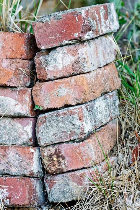 Bricks In Garden, Leftover Bricks, Brick Garden Edging, Brick Garden, Garden Wallpaper, Outdoor Landscape, Have Inspiration, In Front Of House, Garden Yard Ideas