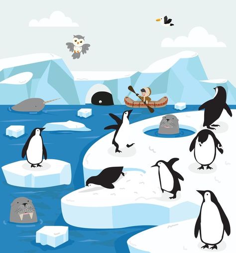 North pole Arctic  Animals Ice Field Ice Animals, North Pole Animals, Cardboard Crafts Diy, Vector Infographic, Arctic Animals, Cardboard Crafts, North Pole, Crafts Diy, Vector Free