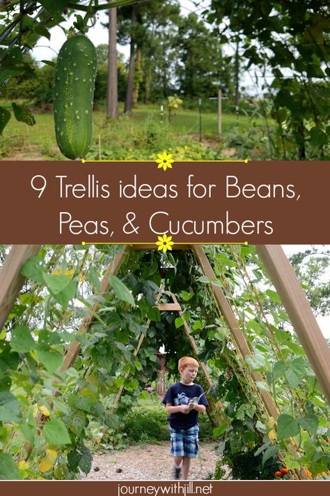 These 9 Trellis Ideas for Beans, Peas, & Cucumbers are completely doable even for a beginner! While some ideas may require two people, many you can do by yourself to grow your garden vertically!  #verticalgardening #gardentrellis #beantrellis Green Bean Trellis, Bean Trellis, Bean Garden, Vegetable Trellis, Vertical Container Gardening, Pea Trellis, Growing Beans, Cucumber Trellis, Diy Garden Trellis