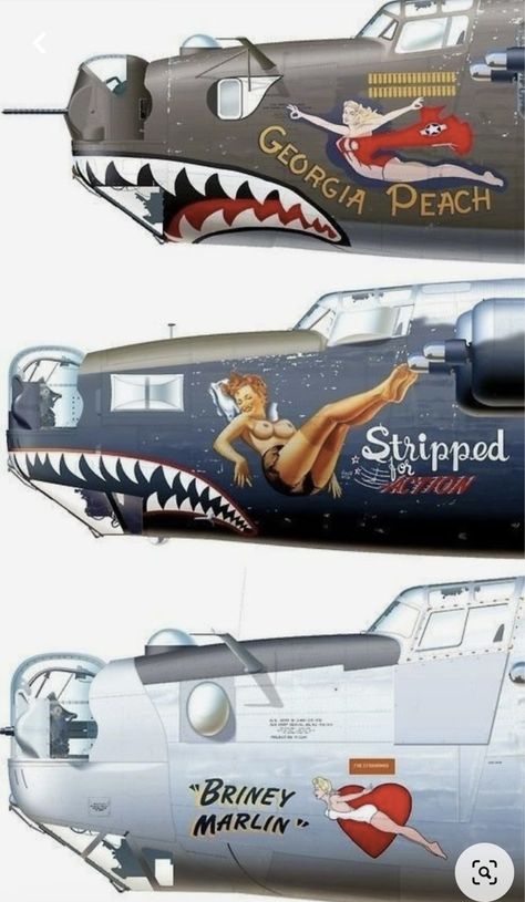 Warbirds Pinups, Wwii Airplane, Aircraft Painting, Nose Art, Vintage Aircraft, Aviation Art, Us Military, Photo Shoot, Pin Up