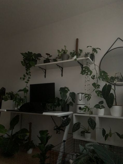 plants aesthetic shelf philodendron monstera pothos alocasia ficus anthurium green living room bedroom inspiration Aesthetic Shelf, Plants Aesthetic, Green Living Room, Plant Room, Philodendron Monstera, Plant Aesthetic, Living Room Green, Room With Plants, Green Living